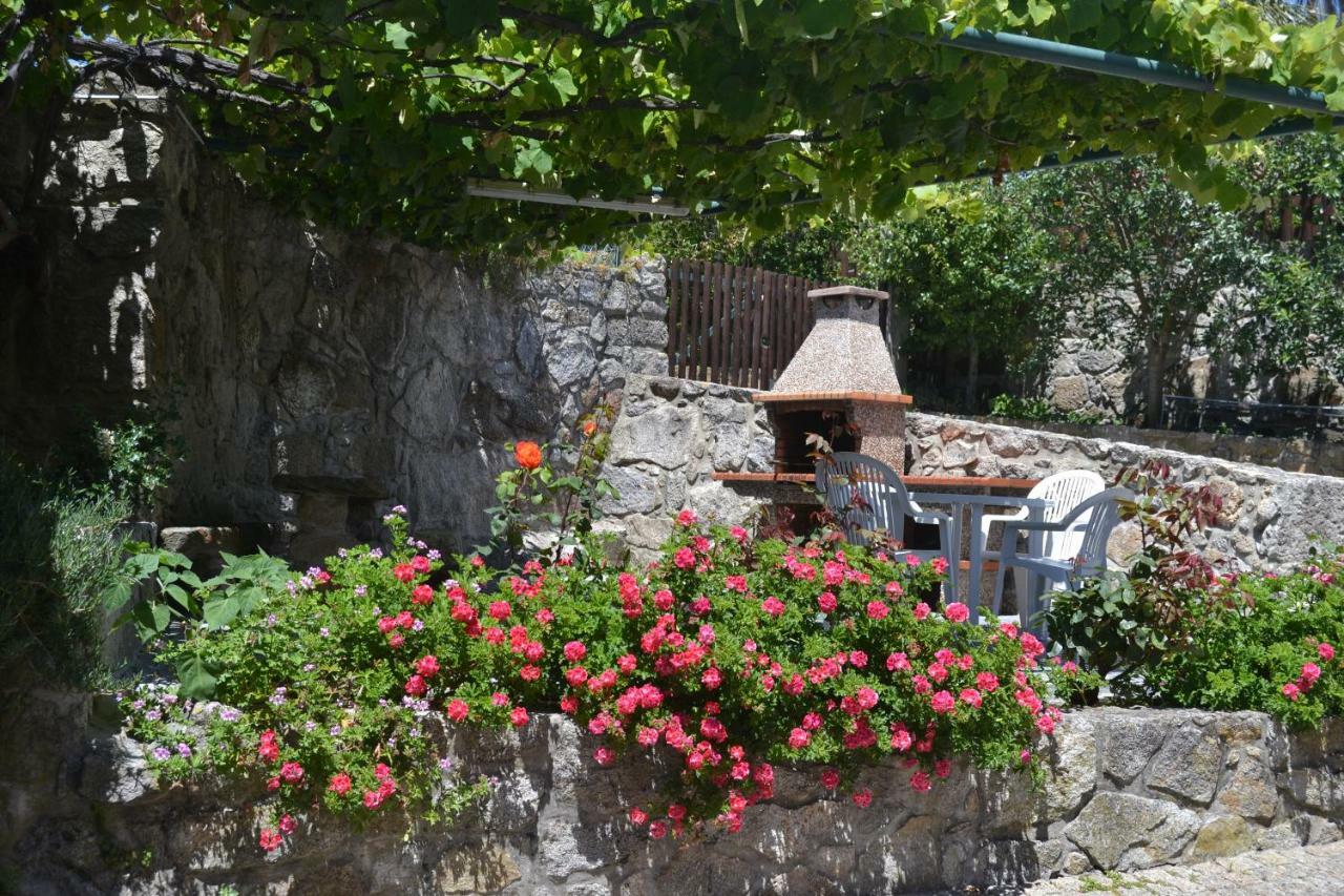 Quinta Do Real - Casa De Campo Viana do Castelo Ngoại thất bức ảnh